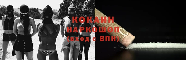 гашик Белокуриха