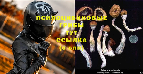 гашик Белокуриха
