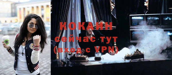 гашик Белокуриха